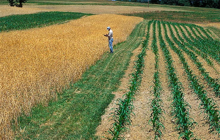 Can we feed the growing population?