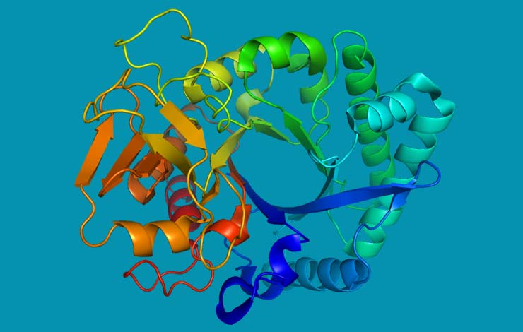 Protein Folding