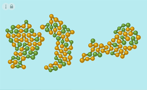 Protein denaturation simulation screen shot