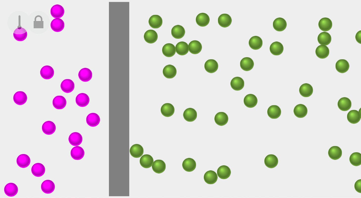 Diffusion and mass simulation screen shot
