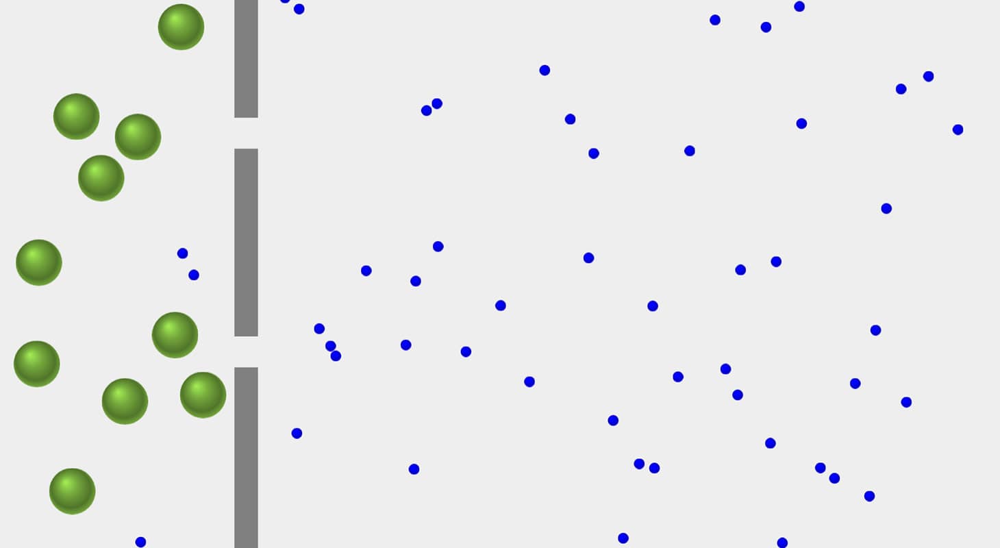 Diffusion Durch Eine Vollpermeable Membran - vrogue.co